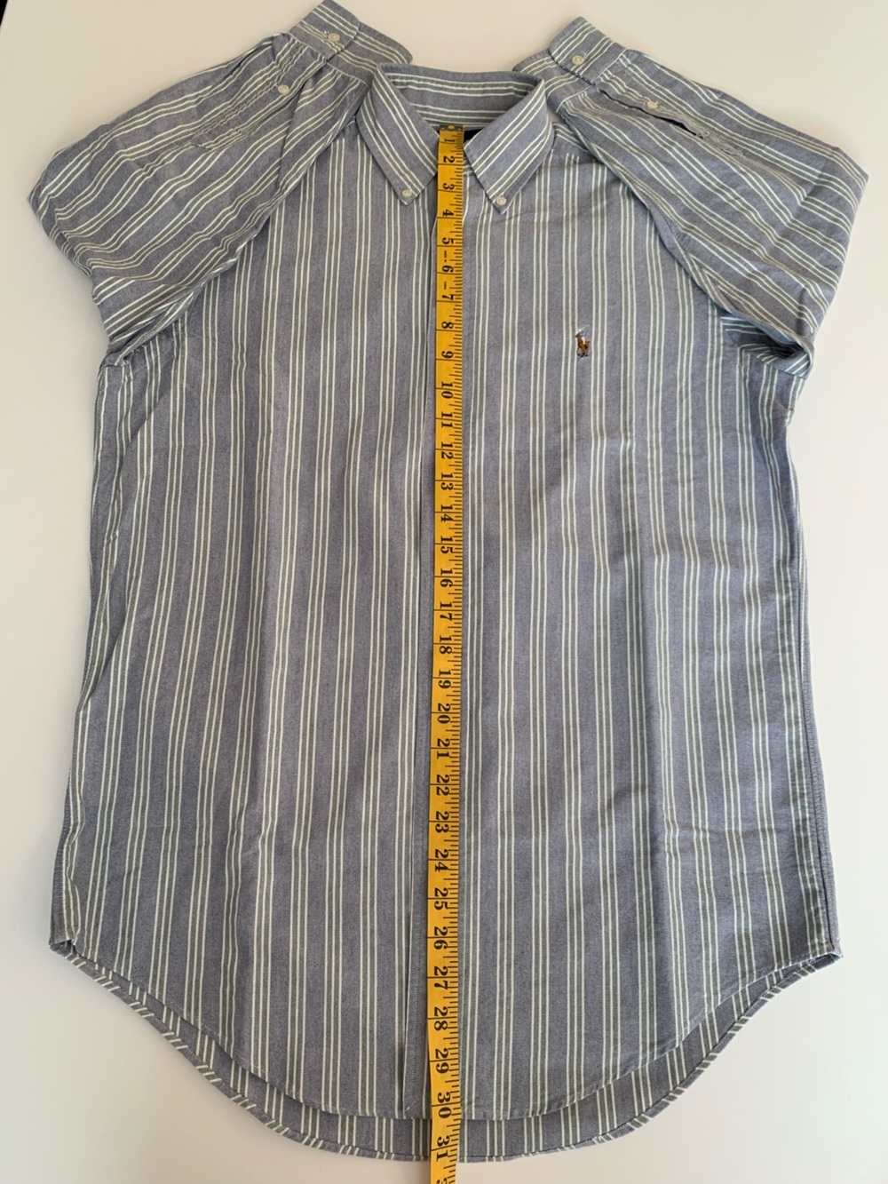 Classic Blue Stripe Button-Down Shirt - Men's